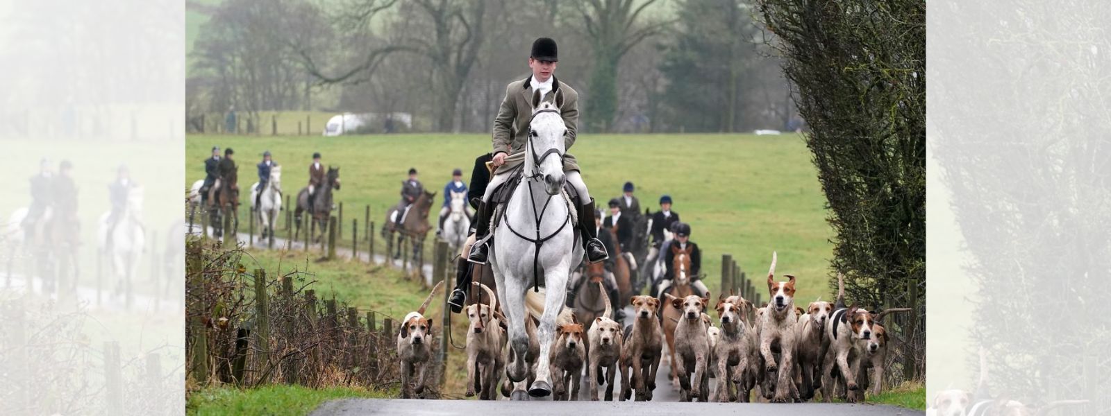 Anti-hunting groups ecstatic over new Scottish law banning use of dogs in hunts